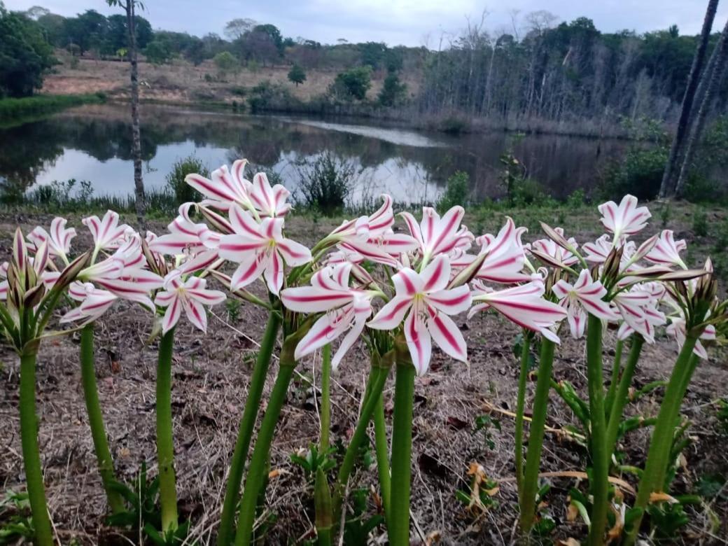 Chacara Bica Dagua Villa Pirenopolis Bagian luar foto
